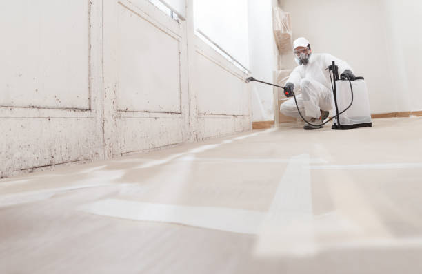 24/7 Emergency Attic Mold Remediation experts in The Plains, VA